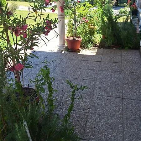 Vila Ajdo Villa *